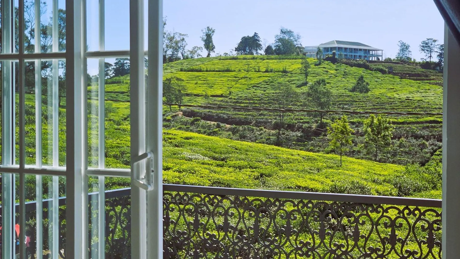 Private Villa By The Tea Estate Nuwara Eliya Sri Lanka